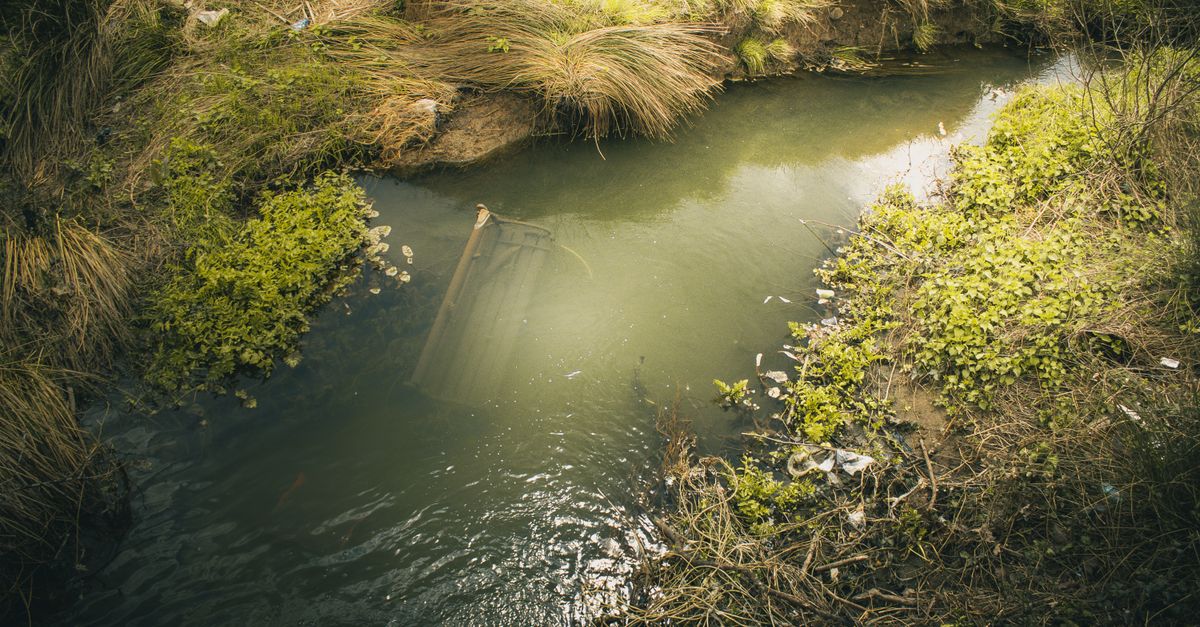 어떤 경우엔 점검을 빨리 부르는 게 이득일까요?